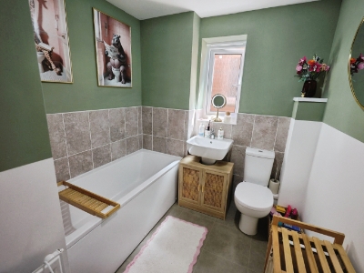 Picture 12
